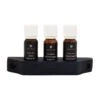 Emendo Emendo Set Sauna Geuren 3 X 10 Ml Inclusief Houten Rekje 1 Emendo Emendo Set Sauna Geuren 3 X 10 Ml Inclusief Houten Rekje -Haywardses Winkel emendo emendo set sauna geuren 3 x 10 ml inclusief