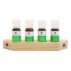 Emendo Emendo Set Sauna Geuren 4x10ml Inclusief Houten Rekje -Haywardses Winkel emendo emendo set sauna geuren 4x10ml inclusief ho