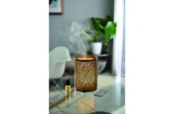 Esteban Esteban Mist Diffuser Light & Gold Edition 7 Esteban Esteban Mist Diffuser Light & Gold Edition -Haywardses Winkel esteban esteban mist diffuser light gold edition 2