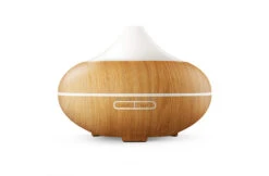 GX GX-20K Aroma Diffuser 7 GX GX-20K Aroma Diffuser -Haywardses Winkel gx gx 20k aroma diffuser 1