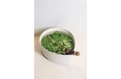 Rento Rento Pisara Wasbak 8,5 L Schors 11 Rento Rento Pisara Wasbak 8,5 L Schors -Haywardses Winkel rento rento pisara wasbak 85 l schors 4