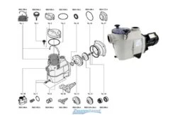 Starline Starline SL Zwembadpomp Motor Sealset 7 Starline Starline SL Zwembadpomp Motor Sealset -Haywardses Winkel starline starline sl zwembadpomp motor sealset 2